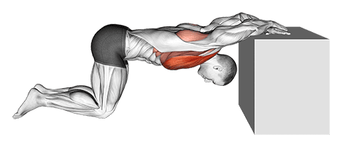 Kneeling Chest Stretch exercise demonstration for Chest, Body weight
