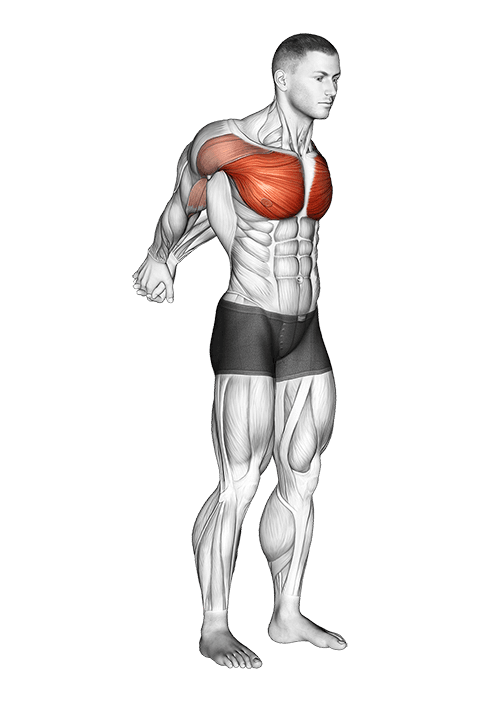 Straight Arms Backward Chest Stretch exercise demonstration for Chest, Body weight
