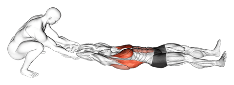 Assisted Straight Arms Lying Stretch exercise demonstration
