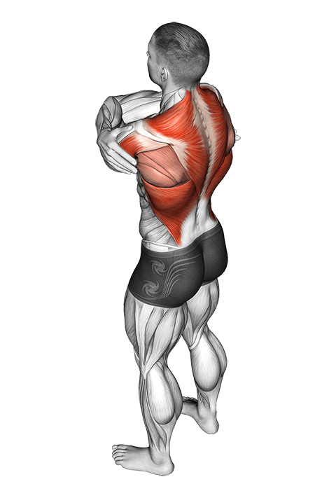 Wrap around shoulder stretch exercise demonstration for Back, Body weight