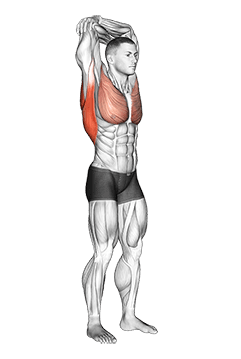 Standing reach up back rotation stretch exercise demonstration for Back, Body weight