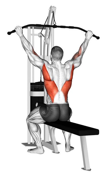 Cable Suspension Back Stretch exercise demonstration