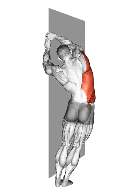 Side Lat Stretch exercise demonstration for Back, Body weight