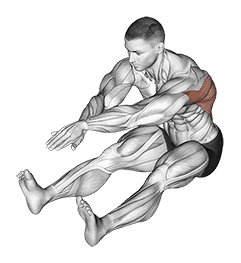 Sitting Bent Over Back Stretch exercise demonstration for Back, Body weight