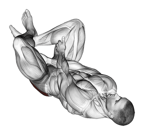 Reclining Lower Trunk Extensor Stretch exercise demonstration for Hips, Body weight