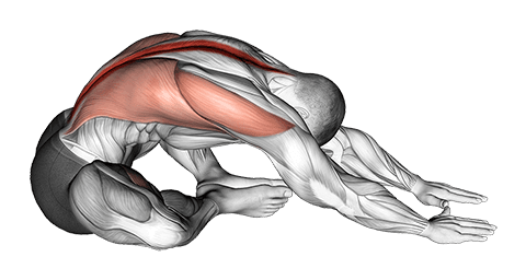 Sitting Feet Together Reach Forward Stretch exercise demonstration for Back, Body weight