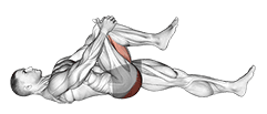 Lying Knee To Chest Stretch exercise demonstration