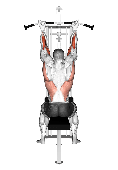 Suspension In Pulley Machine In Supination Stretch exercise demonstration