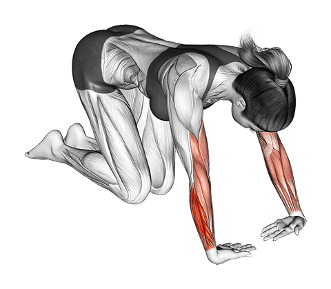 Wrist Radial Deviator And Extensor Stretch exercise demonstration for Forearms, Body weight