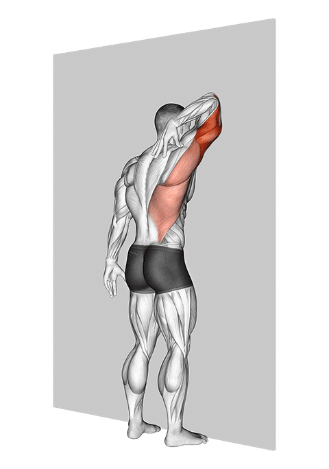 Triceps Stretch Against Wall exercise demonstration