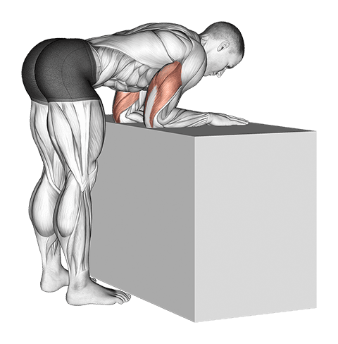 Elbow Extensor Anconeus Stretch exercise demonstration for Upper Arms, Body weight