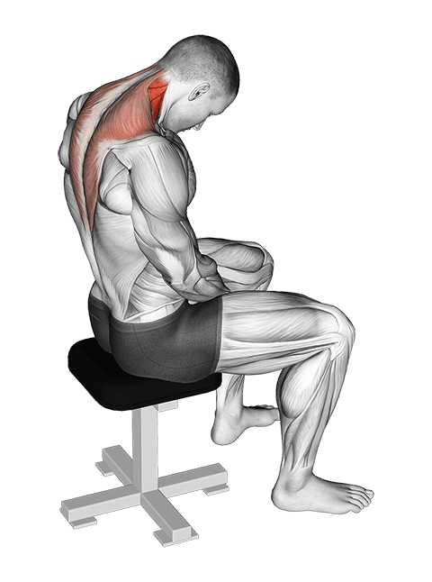 Sitting Neck Flexion Stretch exercise demonstration for Neck, Body weight