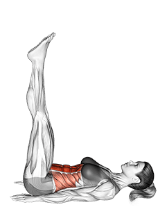 Hip Lift - Low Back Off Floor exercise demonstration for Waist, Body weight