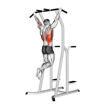Wide Grip Pull-Up on Dip Cage exercise demonstration for Back, Body weight