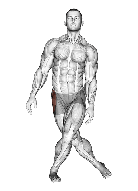 Standing Leg Cross Abductor Stretch exercise demonstration for Hips, Body weight