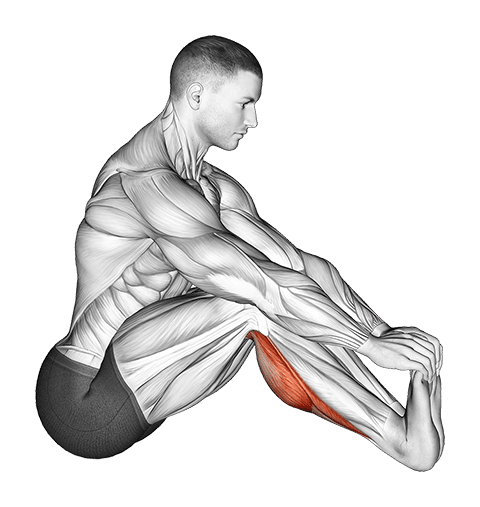 Sitting Toe Pull Achilles Stretch exercise demonstration for Calves, Body weight