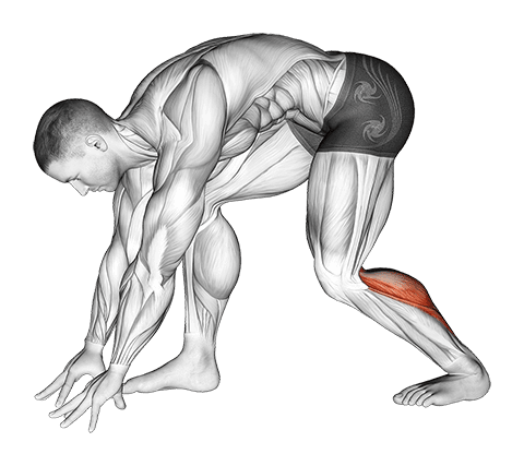 Crouching Heel Back Achilles Stretch exercise demonstration for Calves, Body weight
