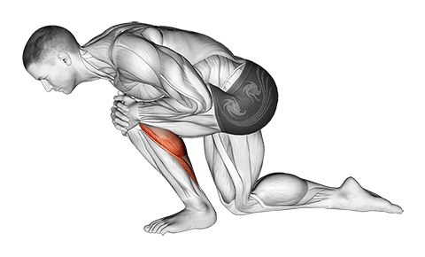 Kneeling Heel Down Achilles Stretch exercise demonstration for Calves, Body weight
