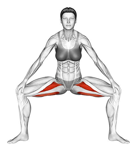 Standing Wide Knees Adductor Stretch exercise demonstration for Hips, Body weight