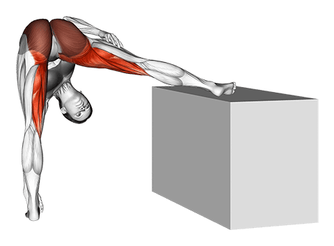 Standing Raised Leg Hip Adductor Stretch exercise demonstration for Hips, Body weight