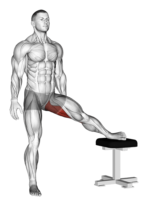 Standing Leg Up Adductor Stretch exercise demonstration for Hips, Body weight