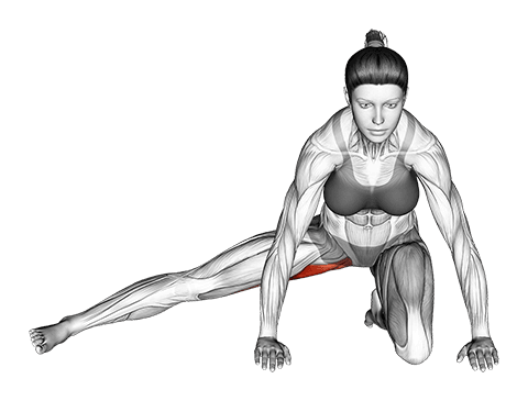 Kneeling Leg Out Adductor Stretch exercise demonstration