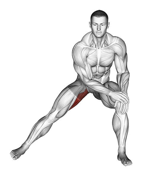 Side Lunge Adductor Stretch exercise demonstration for Hips, Body weight