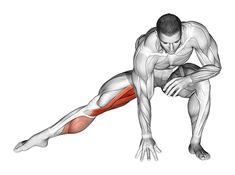 Standing Bent Knee Hip Adductor Stretch exercise demonstration