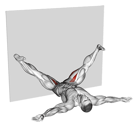 Lying Leaning Against The Wall Stretch exercise demonstration for Hips, Body weight