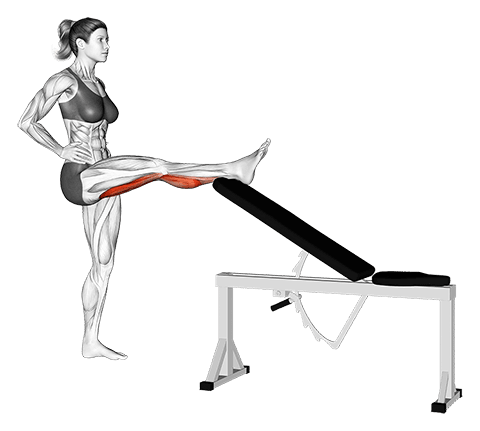 Standing Leg Up Hamstring Stretch exercise demonstration for Hamstrings, and Thighs, Body weight