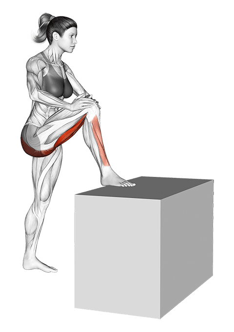 Standing High Leg Bent Knee Hamstring Stretch exercise demonstration for Hamstrings, and Thighs, Body weight