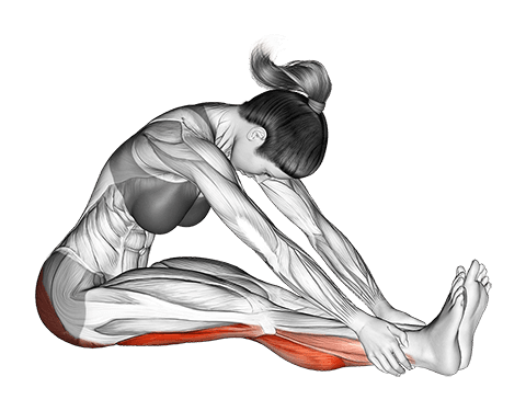 Seated Knee Flexor Stretch exercise demonstration for Hamstrings, and Thighs, Body weight