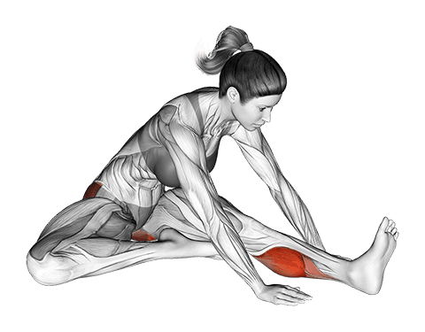 Seated Hip External Rotator And Hip Extensor Stretch exercise demonstration