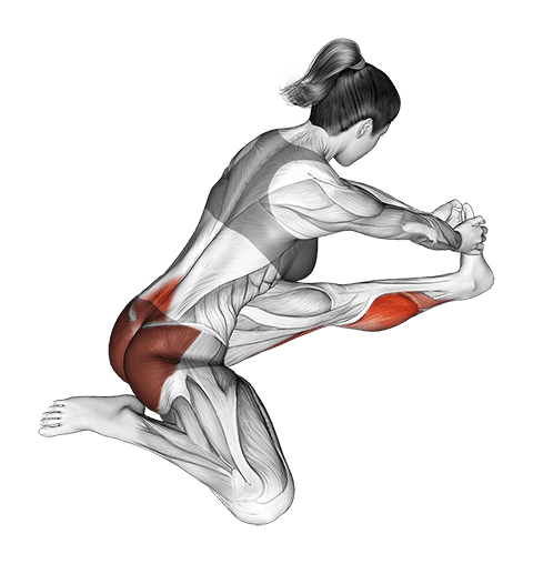 Seated Hip Stretch With Opposite Leg From Behind exercise demonstration for Hips, Body weight