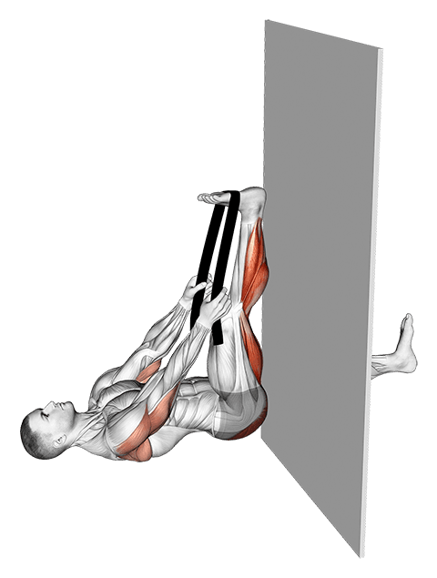 Recumbent Knee Flexor Stretch With Towel exercise demonstration for Thighs, Body weight