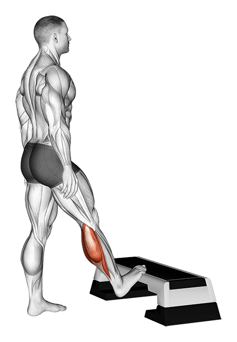 Standing Toe Up Calf Stretch exercise demonstration for Calves, Body weight