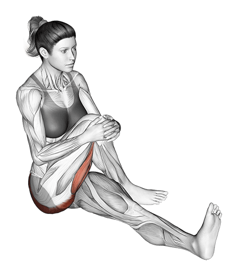 Seated Bent Knee To Chest Buttock Stretch exercise demonstration for Hips, Body weight