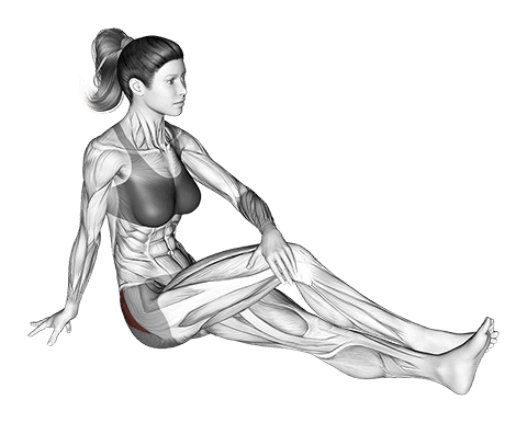 Seated Hip Stretch With Slightly Bent Leg exercise demonstration for Hips, Body weight