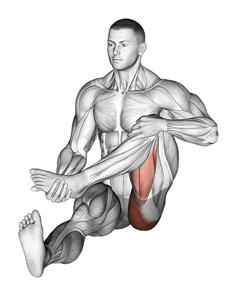 Sitting Foot To Chest Buttocks Stretch exercise demonstration for Hips, Body weight