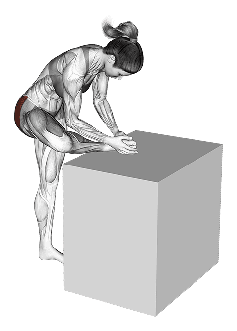 Hip External Rotator Stretch exercise demonstration for Thighs, Body weight