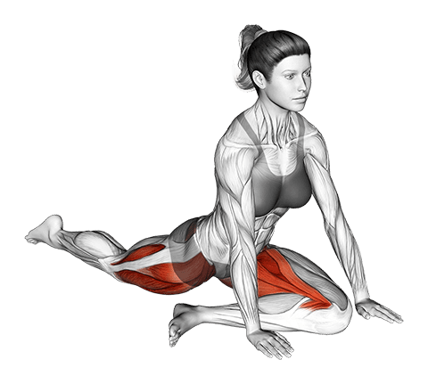 Lying Leg Tuck Hip Stretch exercise demonstration for Thighs, Body weight