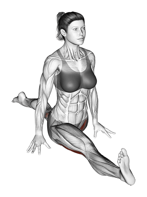 Flexion And Extension Hip Stretch exercise demonstration for Hips, Body weight