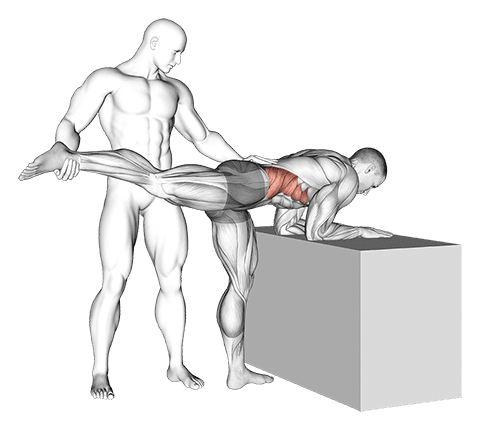 Assisted One Leg Extension exercise demonstration for Hips, Body weight