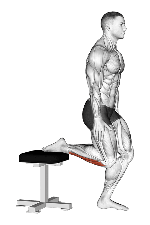 Raised Foot Shin Stretch exercise demonstration for Calves, Body weight