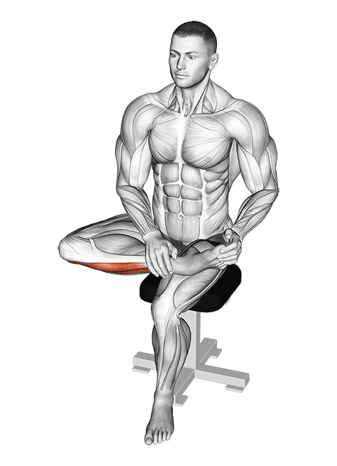 Seated Toe Extensor Stretch exercise demonstration for Calves, Body weight