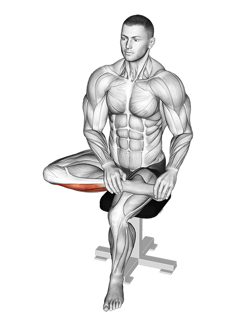 Seated Toe Extensor And Foot Inverter Stretch exercise demonstration for Calves, Body weight