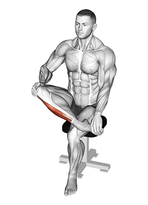 Mobilization Of Ankle Stretch exercise demonstration for Calves, Body weight