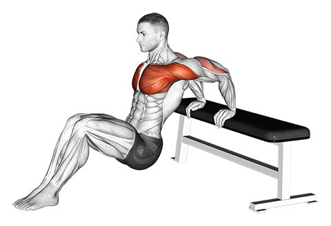 Sitting Shoulders Stretch On Bench exercise demonstration