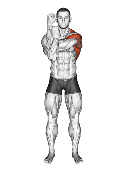 Bent Arm Shoulder Stretch exercise demonstration