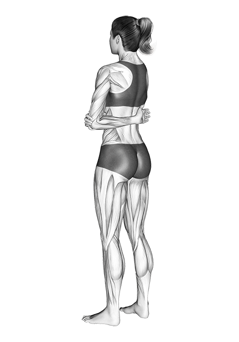 Rotator Cuff Stretch exercise demonstration for Back, Body weight